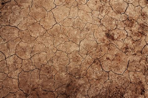 Cracked Earth Texture Free Stock Photo - Public Domain Pictures