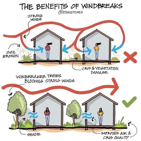 Landscaping for Windbreaks | Department of Energy