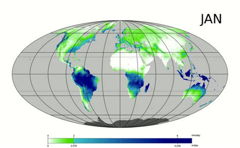 Average Precipitation World Map