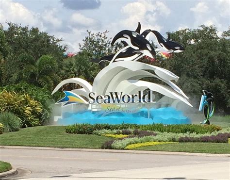 SeaWorld Orlando is ending its theatrical orca shows, but they still ...