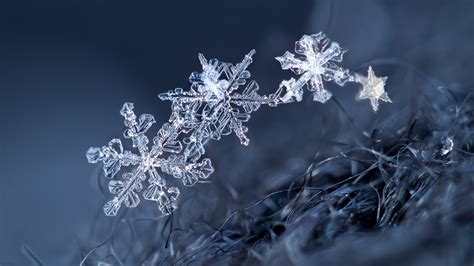 Images Snowflakes Macro photography 1920x1080