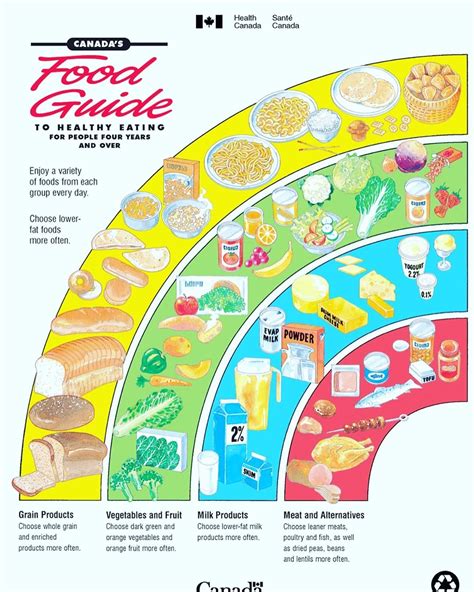 Canada Food Guide Activity Sheets