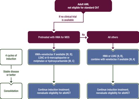 Acute myeloid leukaemia in adult patients: ESMO Clinical Practice Guidelines for diagnosis ...