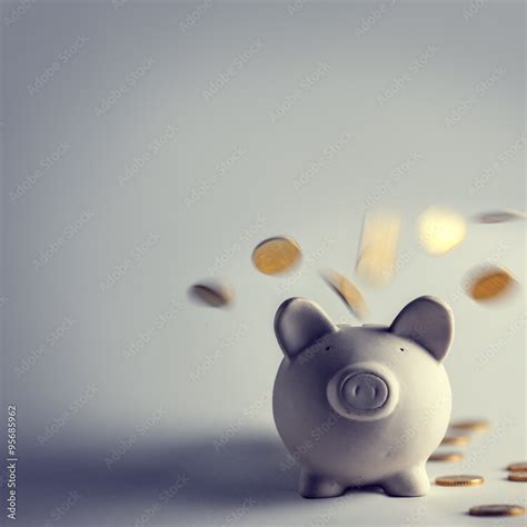 pig Stock Photo | Adobe Stock