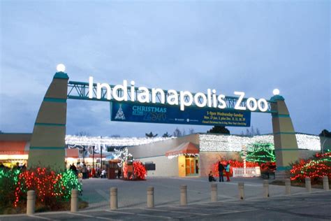 Christmas at the Indianapolis Zoo • DIY Mama