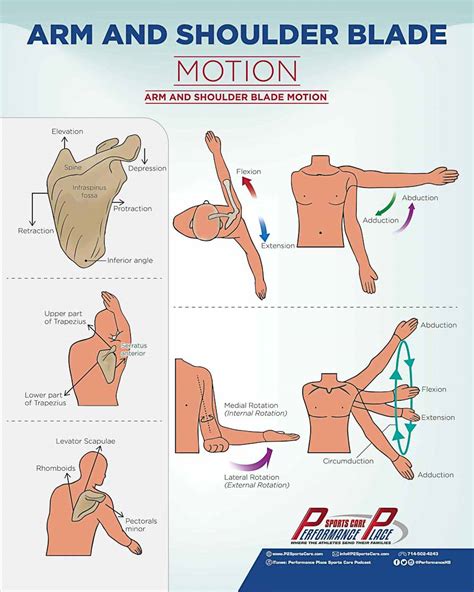 9 Facts About Shoulder Pain while Pitching all Baseball Players should know