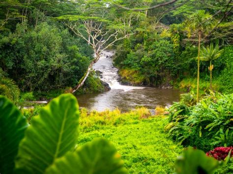 These Are the Wettest Places on Earth — Daily Passport