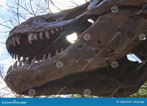 Dinosaur Skeleton on Display Editorial Photography - Image of lizard, meateater: 128527232