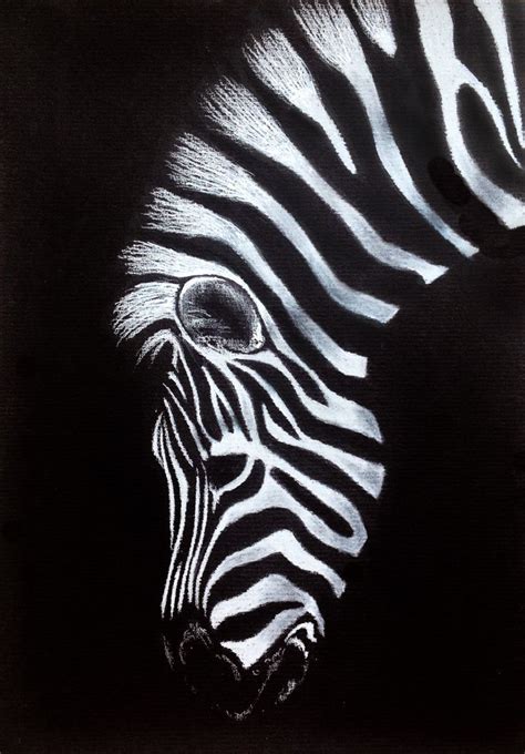 Midnight Dreams (drawing on black paper) by 0bsidio | Drawing ... | Black paper drawing, Zebra ...