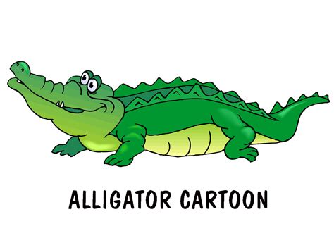 Alligator Great Pictures