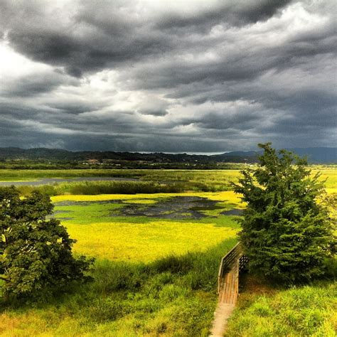 Laguna Cartagena, Refugio Federal de Vida Silvestre en Lajas Puerto Rico | Places to go ...