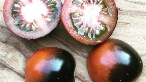 6 Different Varieties Of Blue Tomatoes That You Should Know!