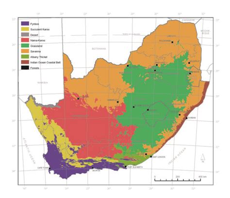 South African Biomes Map