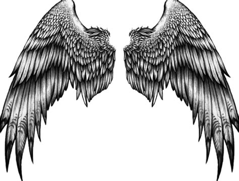 Eagle Wing Tattoos, Wing Tattoo Men, Men Tattoos Arm Sleeve, Wing ...