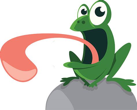 Royalty Free Frog Tongue Clip Art, Vector Images & Illustrations - iStock