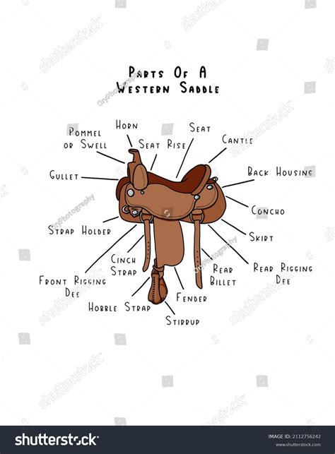 Saddle Parts Western Diagram – Kikilayo Ideas