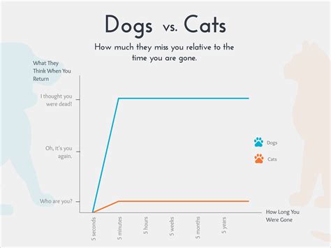 10 Funny Graphs That Perfectly Explain Everyday Life