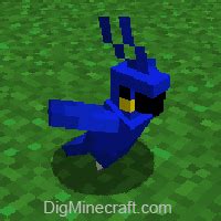 Parrot in Minecraft