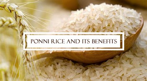 Ponni Rice and its Benefits| Online Rice Seller | Singarajan Rice Store