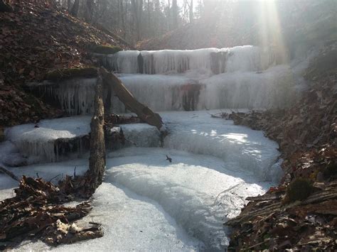 Versailles State Park Mountain Bike Trail in Versilles, Indiana ...