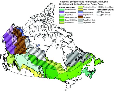 Boreal Forest Climate Diagram