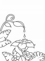 Petrykivka Painting Coloring Pages sketch template