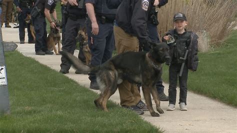 McCordsville boy with immune disorder surprised with parade of police dogs outside his door ...