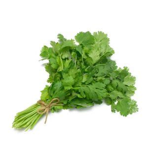 Coriander Leaves - Farm To Palms