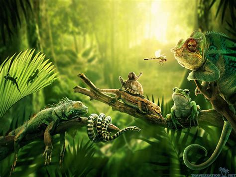 7 Kbytes, V - Jungle Animal Wallpaper 4k - 2560x1920 Wallpaper - teahub.io