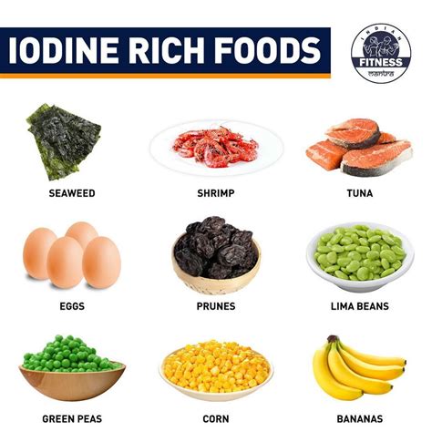 Iodine Rich Foods | Iodine rich foods, Healthy food facts, Thyroid ...