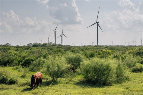 Inside Clean Energy: Texas Is the Country’s Clean Energy Leader, Almost in Spite of Itself ...