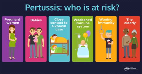 Pertussis Whooping Cough