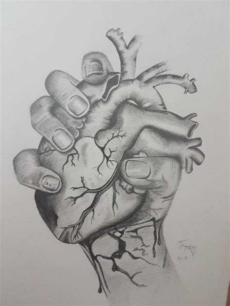 Hand holding heart. Ripped my heart out pencil sketch | Heart drawing ...