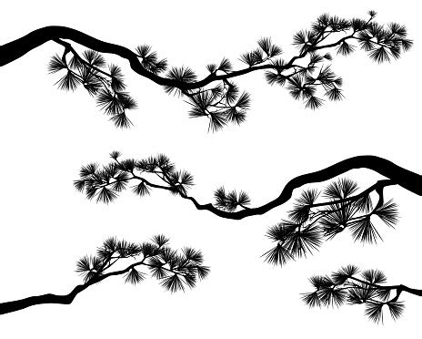 japanese tree silhouette png