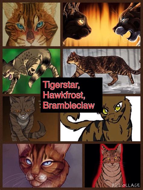 Tigerstar, Hawkfrost, Brambleclaw | Warrior cats, Warrior, Cats meow