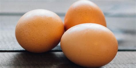 What are Omega-3 Eggs? - Organic Chicken Feed