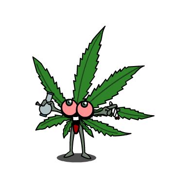 Animated Weed Leaf - ClipArt Best