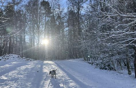 New weather warning issued across Northern Ireland – The Irish News