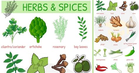 Herbs and Spices Names in English • 7ESL | Herbs & spices, Spices ...