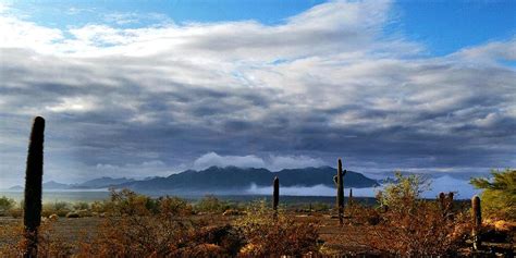 Desert Morning Fog Photograph by Brandon Stull | Fine Art America