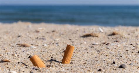 Special cigarette bins help fight pollution on Tallinn beaches | WMW