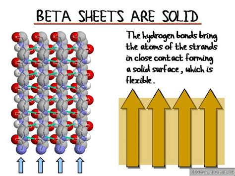 Beta_Sheets_Are_Solid