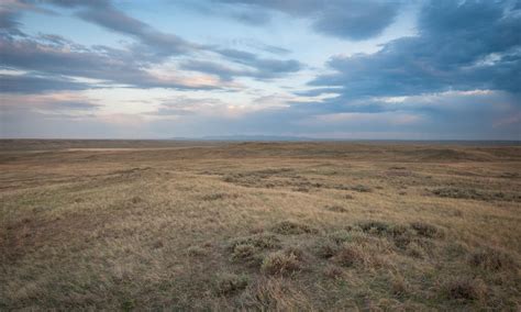 Saving the Grasslands of the Northern Great Plains | Stories | WWF