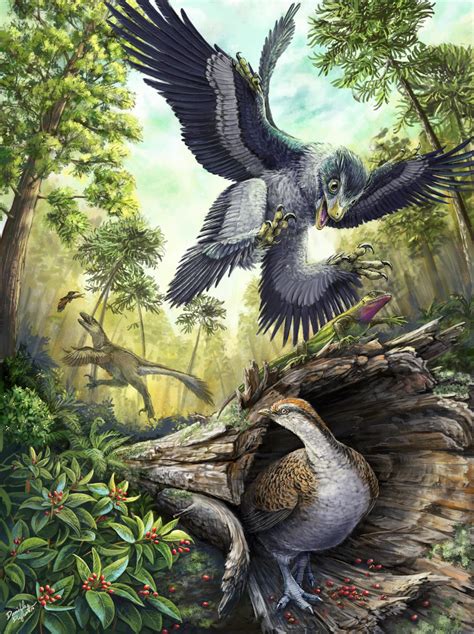 Fossil teeth suggest that seeds saved bird ancestors from extinction