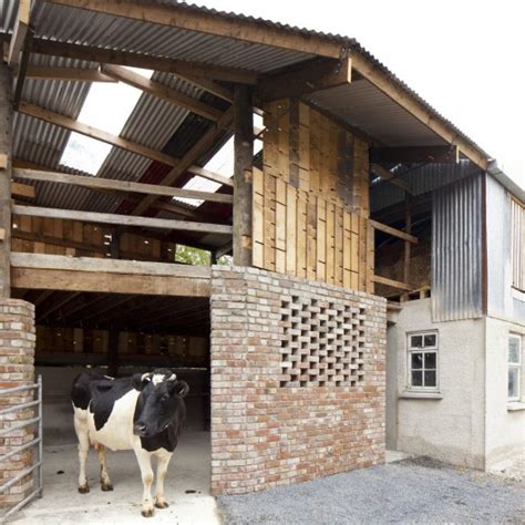 Tifany Blog: How to build a cowshed in kenya