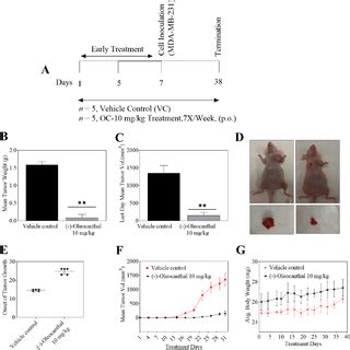 Novel liquid-liquid extraction and self-emulsion methods for simplified ...