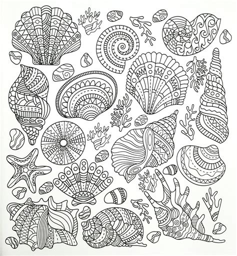 Seashell Coloring Pattern