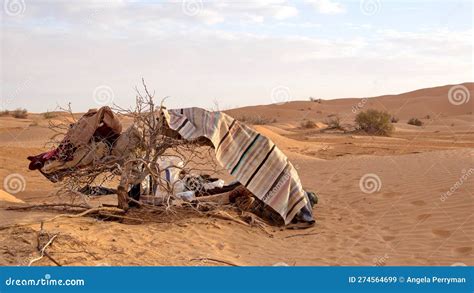 Bedouin Camp in the Sahara Desert Stock Image - Image of adventure ...