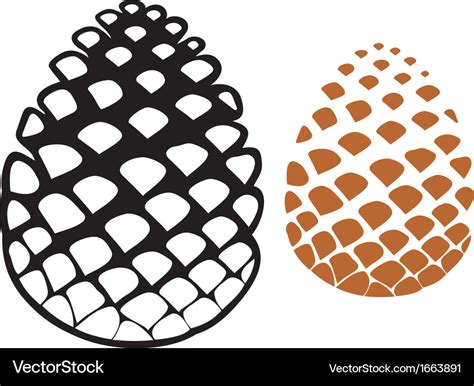 Pine cone Royalty Free Vector Image - VectorStock