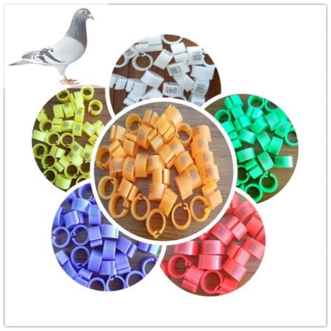 Birds Application racing pigeon rings for chickens, piegon, birds, parrots split ring -in Bird ...